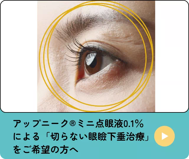 アップニーク®ミニ点眼液