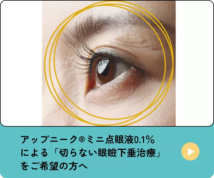 アップニーク®ミニ点眼液
