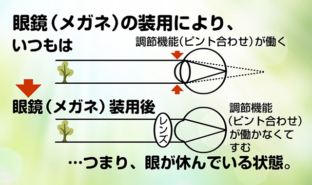 眼鏡（メガネ）の装用により、眼が休んでいる状態。